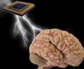 El cerebro y la computadora